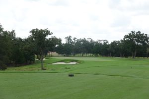 Big Easy Ranch (The Covey) 11th